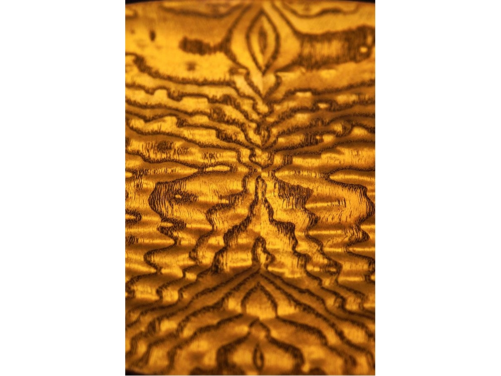 Ohana_ukuleles_cedar_and_willow_concert_angle_CK-50WG_2000x_2206556b-24a2-4d8c-bbd3-7b379ff5cf05_2000x