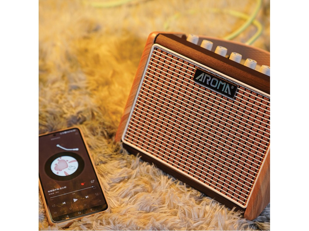 Acoustic Guitar Amplifier W/ Drum Machine & Mic input | Aroma - Image 2