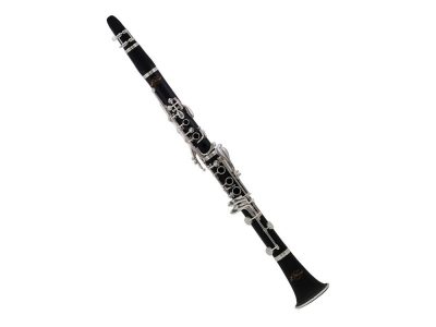 CL360 Clarinet (Bb) with Semi-Hard Carrying Case | J.Michael