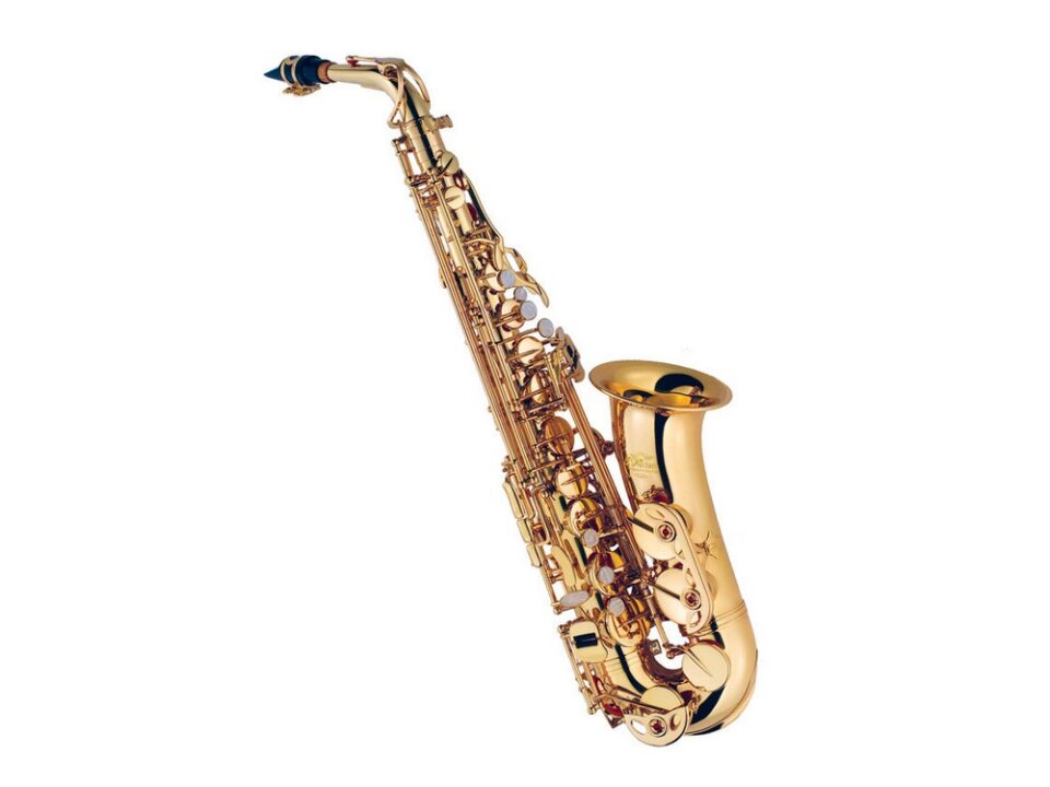 AL500 Alto Saxophone (Eb) in Clear Lacquer Finish J.Michael Music
