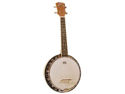 Barnes & Mullins BJ500M Troubadour 5 String Banjo